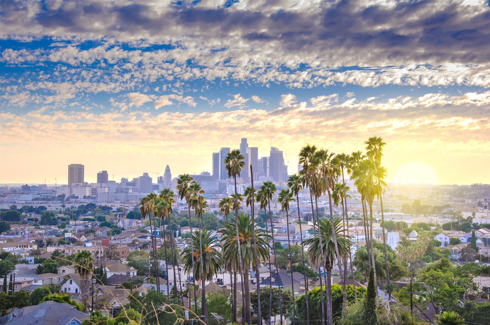 Downtown Los Angeles skyline at sunset with palm trees